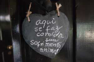 Ici on cuisine sans souffrance animale at Centro Tinkuy - Gracias a la Vida Association in Sintra