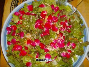 spring salad! at Centro Tinkuy - Gracias a la Vida Association in Sintra