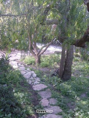 green entrance at Centro Tinkuy - Gracias a la Vida Association in Sintra