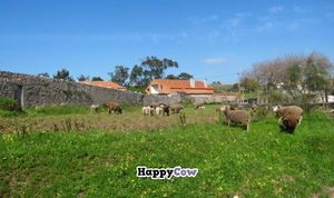 our neighbous at their 'restaurant'! at Centro Tinkuy - Gracias a la Vida Association in Sintra