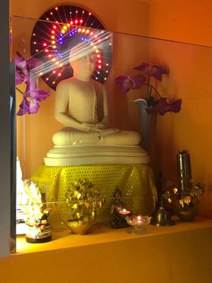  at Rice & Curry in Senigallia