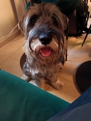  at Zdrojowa in Gdansk