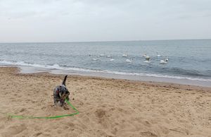  at Zdrojowa in Gdansk