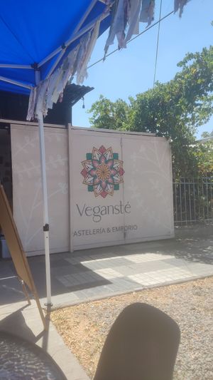 at Vegansté in Providencia