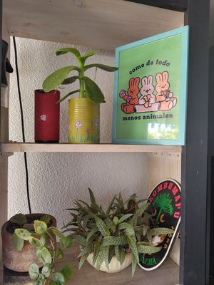 Decoration at Vegansté in Providencia