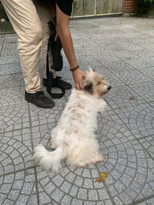   at The Garden Cafe & Vegetarian Food in Hue