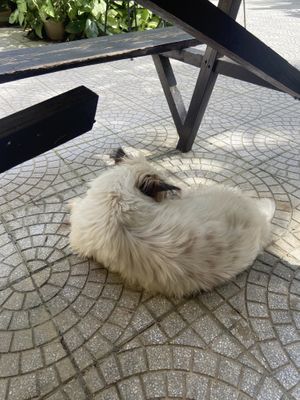   at The Garden Cafe & Vegetarian Food in Hue