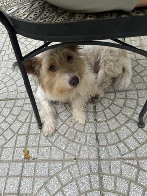   at The Garden Cafe & Vegetarian Food in Hue