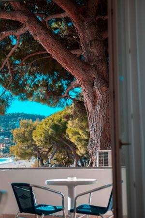  at Hotel Ligure in Spotorno