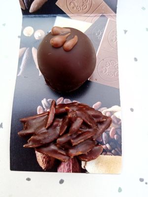 2 of several vegan chocolates at Café ten Cate in Norden