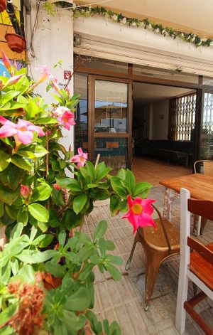 Full of plants... everywhere. at The Hangover Corner in Ibiza