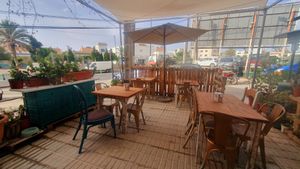 terraza super green at The Hangover Corner in Ibiza