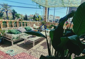  at The Hangover Corner in Ibiza