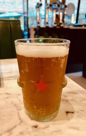 Brixton APA  at Meat The Vegans in North West London