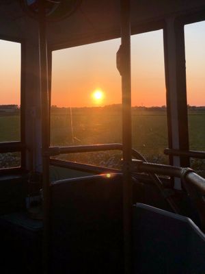  at Hempsall Farm Vegan Glamping in Cambridge