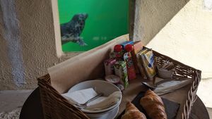  at SEA LIFE Trust Cornish Seal Sanctuary in Helston