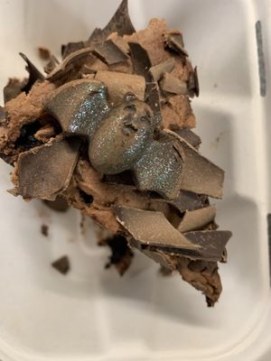 Cute chocolate bat for Halloween!  at The Wild Strawberry in Keswick