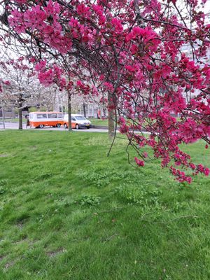  at Je Van Het Loket in Delft