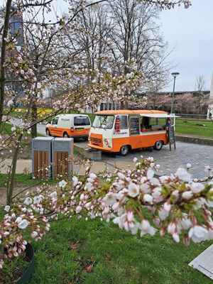  at Je Van Het Loket in Delft