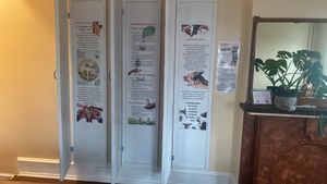 Inside the art doors: vegan propaganda 🌱😎🌱 at Luhv Vegan Bistro in Philadelphia