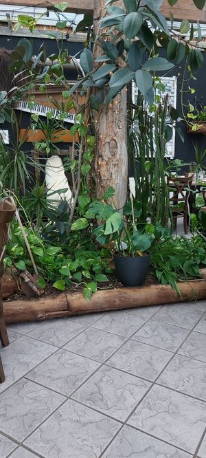  at Vinterhagen Restaurant & Peisen Bar in Longyearbyen