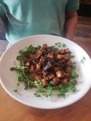 Fried eggplant at Twisted Carrot in Plattsburgh