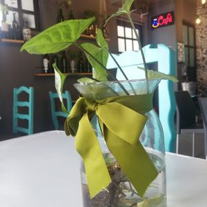  at Empathy Vegan Food in Mexico City
