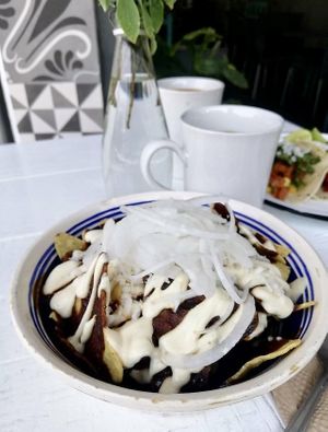 Enchiladas de mole vegano.  at Empathy Vegan Food in Mexico City