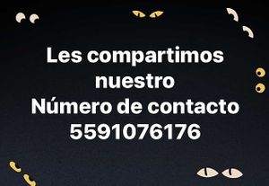   at Empathy Vegan Food in Mexico City