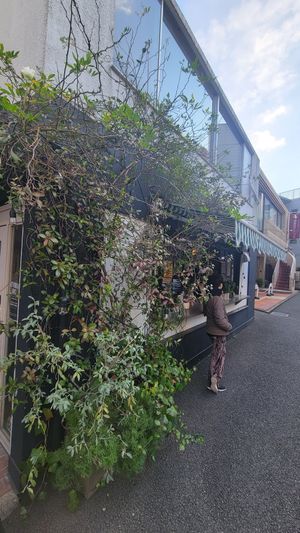  at Matilda Coffee & Vegan Bakes in Tokyo