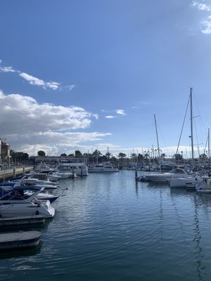   at Planta Cocina - Marina del Rey in Marina Del Rey