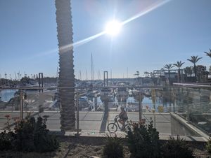 View from outdoor patio seating overlooking the marina at Planta Cocina - Marina del Rey in Marina Del Rey