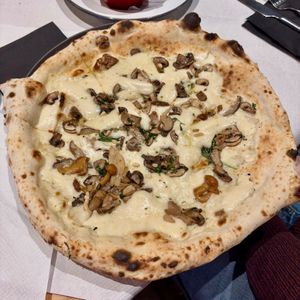 Porcina - white base, Casadei vegan mozzarella, premium porcini mushrooms, chanterelles, sauteed chestnut mushrooms, truffle olive oil & ground hazelnuts at Corte Campana in Stratford-upon-avon