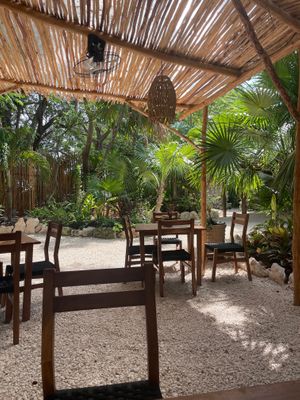  at Fresco Hábito in Cancun