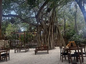   at Fresco Hábito in Cancun