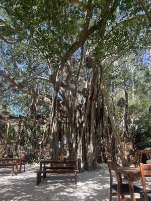 Lovely place 🫶🏼  at Fresco Hábito in Cancun