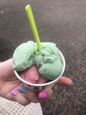 Mint and strawberry  at Aberdyfi Ice Cream in Aberdovey
