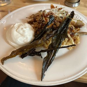   at Café Lief  in Haarlem