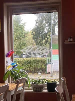 Lief 🥰   at Café Lief  in Haarlem