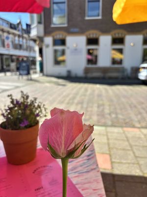 Love lief   at Café Lief  in Haarlem