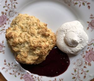 Very good scone with whipped cream and jam  at Café Lief  in Haarlem