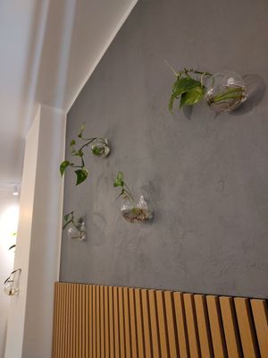 Ableger als Wanddeko at Glacë Manufaktur in Trier