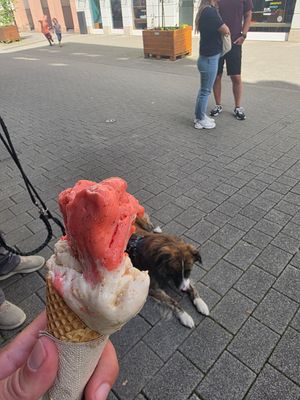 Jummie at Glacë Manufaktur in Trier
