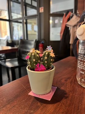   at COLORZ Kitchen  in Bern