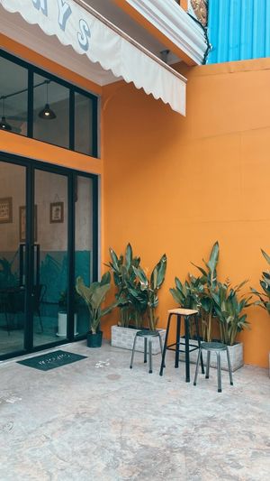  at Sundays  in Phnom Penh