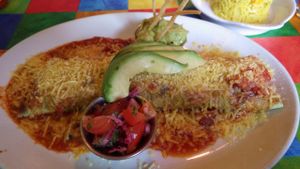 Yucatan Burrito (made to Vegan) at The Mex in St Ives