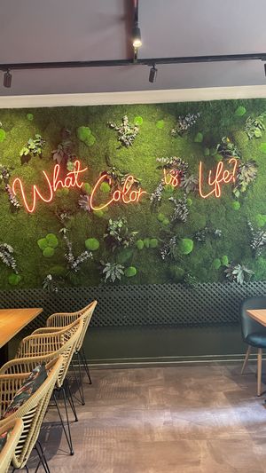 Ginya Vegan House  at Ginya Vegan House  in Hamburg