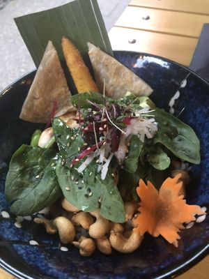 Don’t Dream Your Life….  at Ginya Vegan House  in Hamburg