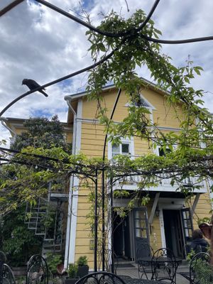 Takapihaa at Tea and Coffee House Helmi in Porvoo