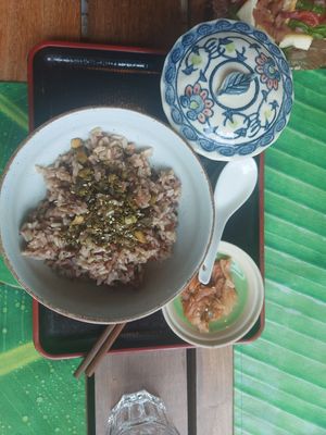 Rice set with kimchi & miso soup at POHSOP in Chiang Mai
